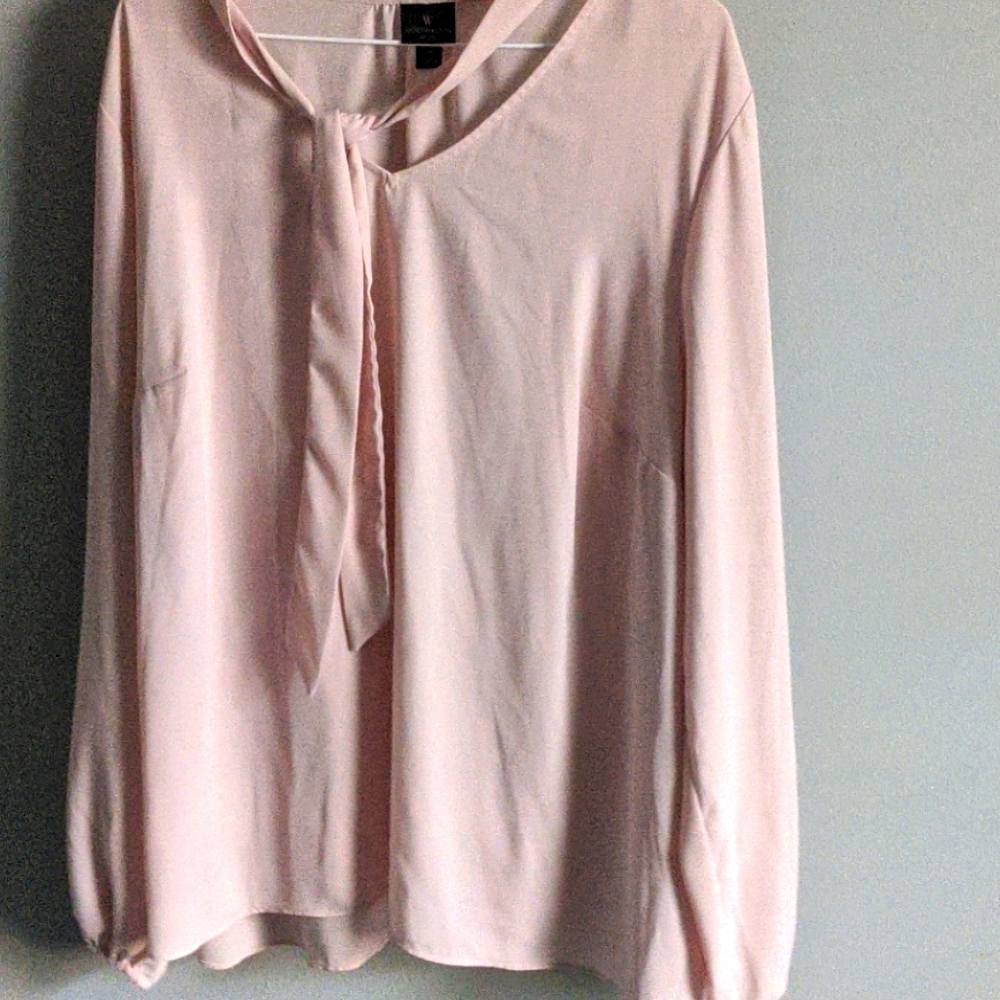 Pink Blouse